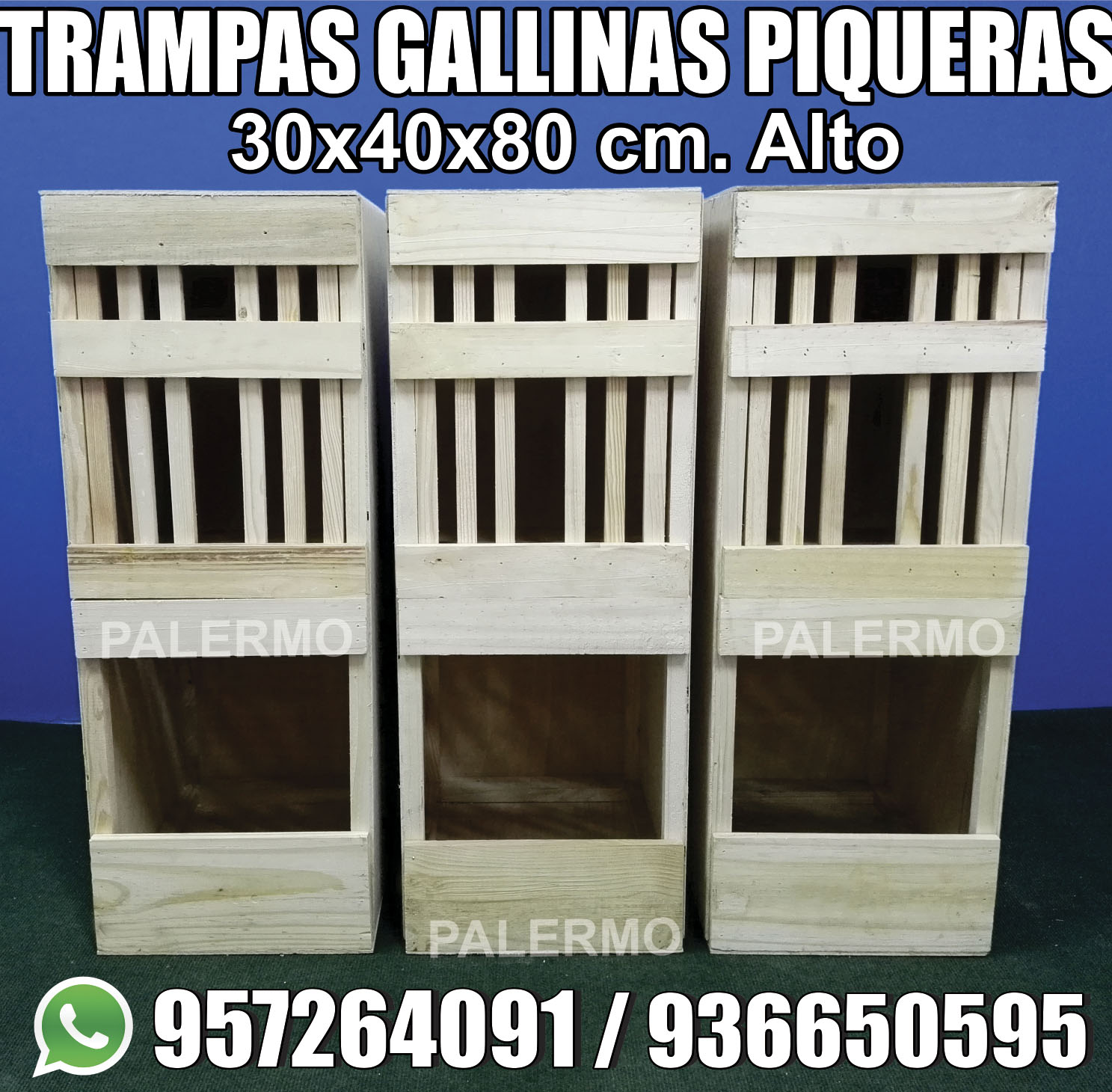 TRAMPAS PIQUERAS PARA GALLINAS 30x40x80cm alto